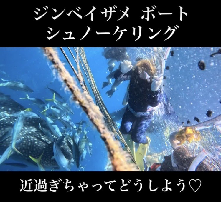 5oceanadventure's tweet photo. 2026.07.03ジンベイザメシュノーケリング🤿快晴が続きますね☺️最高の透明度にゲストも大興奮でした
興味ある方は是非お越し下さい。

オーシャンアドベンチャー
〒904-0401沖縄県国頭郡恩納村名嘉真90-2
050-3172-3172

#シュノーケリング
#体験ダイビング
#スノーケリング 
#沖縄 
#沖縄旅行 https://t.co/kz51Ez4cOm