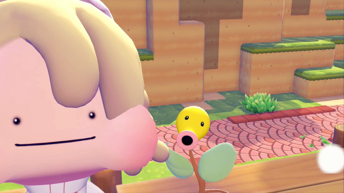 crunch_peach's tweet photo. 사진 옮기는게 쉬워져서 좋다 아 너무재밋서 ♪ ( ᷇࿀ ᷆ و(و https://t.co/2qbUwTS1eU