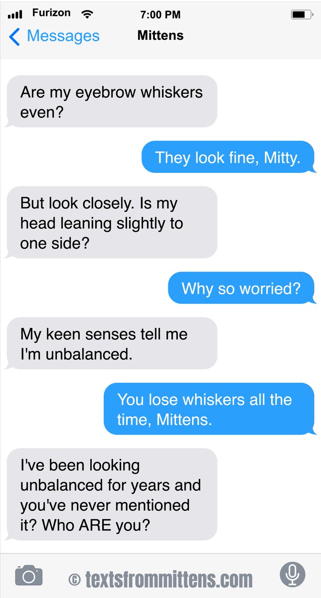 TextFromMittens tweet picture