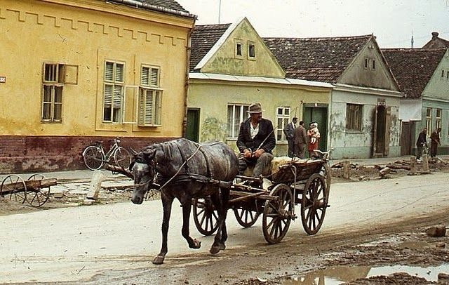 YugoslavVisuals's tweet photo. Vojvodina, 1970s. https://t.co/oBg7qb9FE9