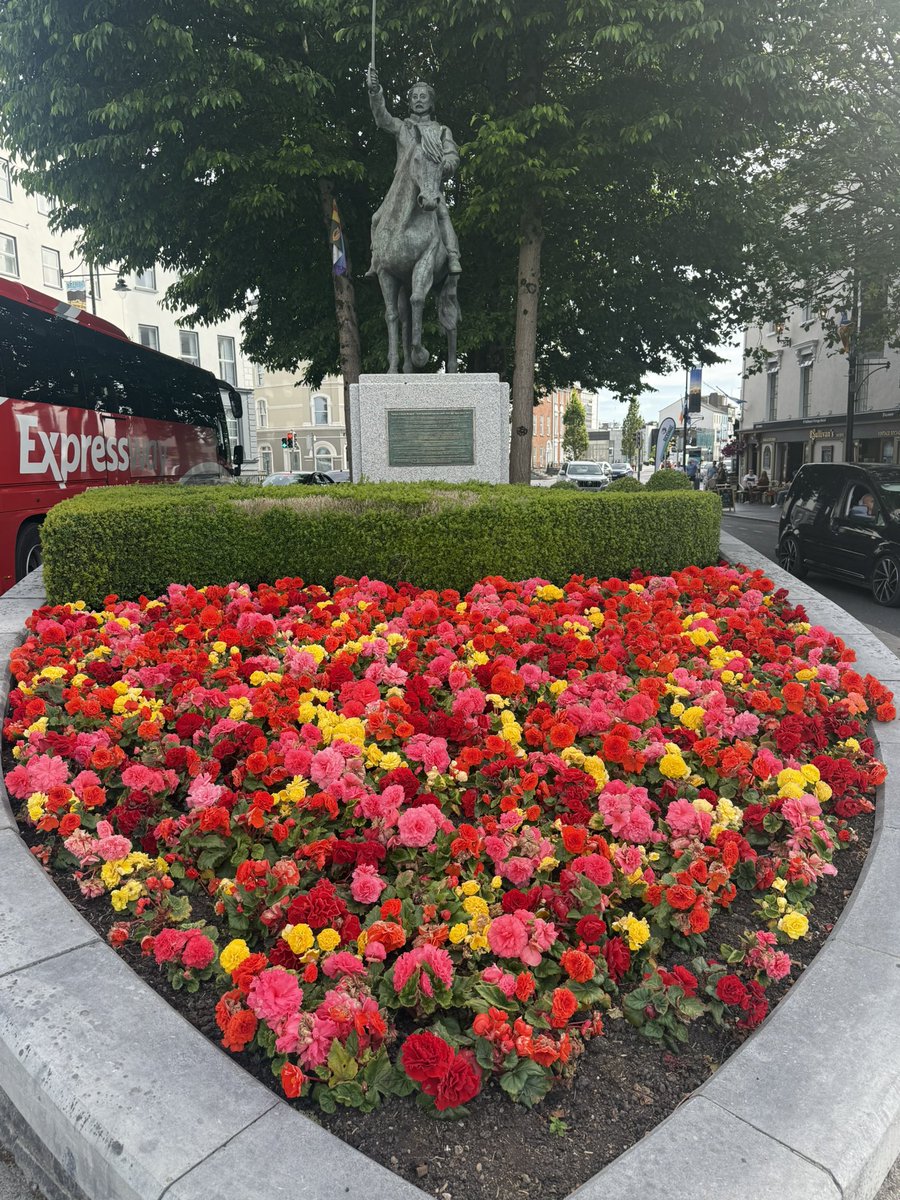 FrankQuinlan1's tweet photo. Waterford #cityofbloom #cleanestcity #visitwaterford 😎👌 https://t.co/ARtmVPMNj3