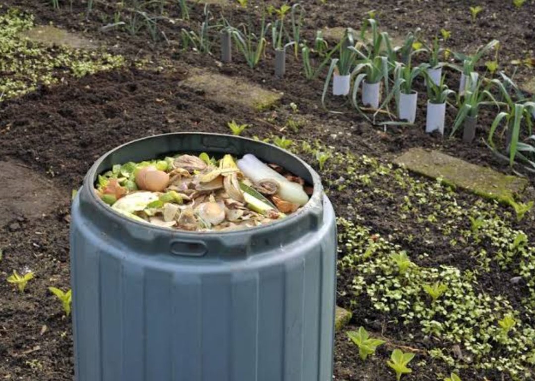 amiel_89's tweet photo. Una huerta empieza con una semilla, pero también con una tierra bien cuidada. El compost es una forma natural de devolverle nutrientes al suelo y aprovechar mejor los residuos orgánicos. ♥︎
¿Que esperas para hacer tu compost y huerta vos? https://t.co/xd0i3qwbiO