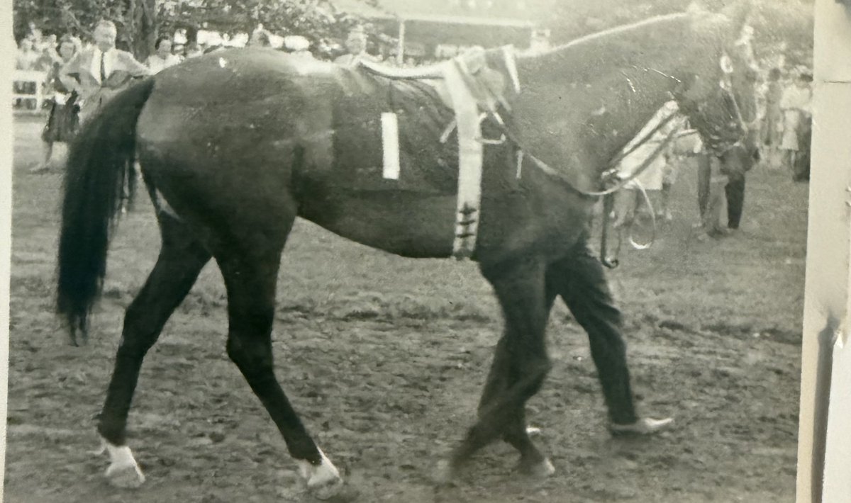 seatrip's tweet photo. Kelso,196? https://t.co/VkRDjyTj46