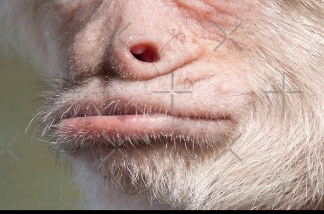 Brunol_only's tweet photo. @D4rkR0b @libsoftiktok @realDonaldTrump @marcorubio Go suck a dih with that Trump of yours wdgaf https://t.co/NSJm5jhzcF