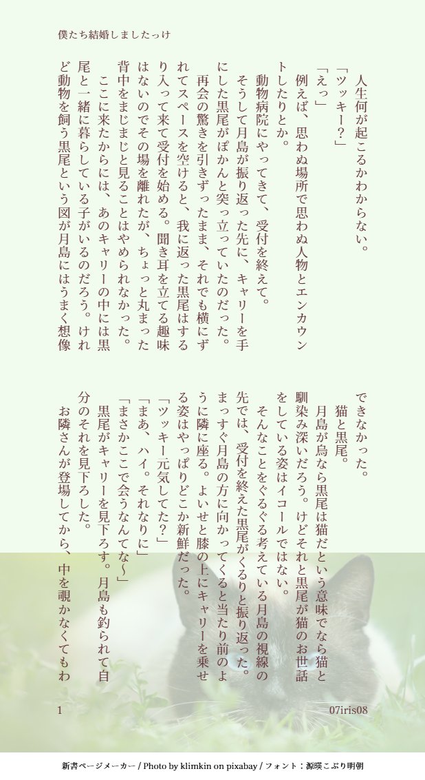 07iris08's tweet photo. クロ月/謎時空/二人がそれぞれねこを飼っている話
思わぬ場所での再会
(4/4) https://t.co/KmkSdDc0Nb