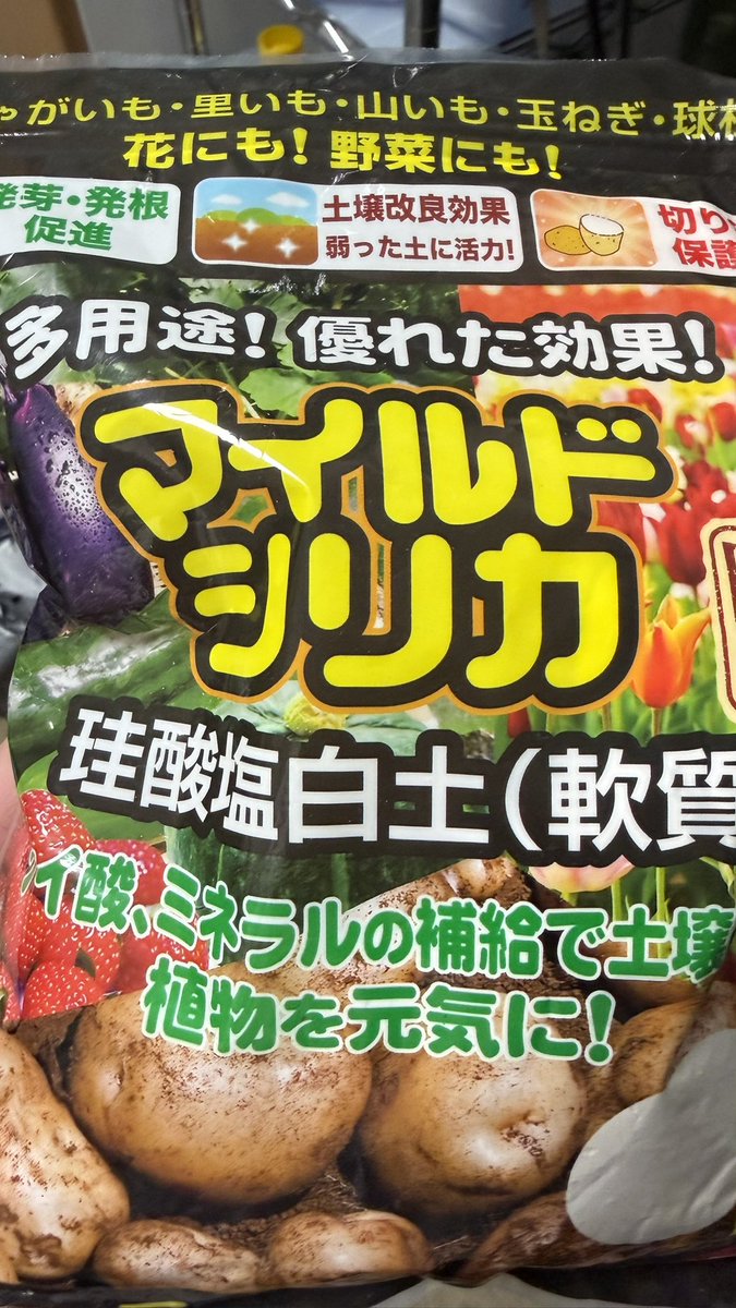 Shoof_aqua's tweet photo. おまじないで入れてるこれ、もしかしていいか？ https://t.co/5XKAGu26MQ