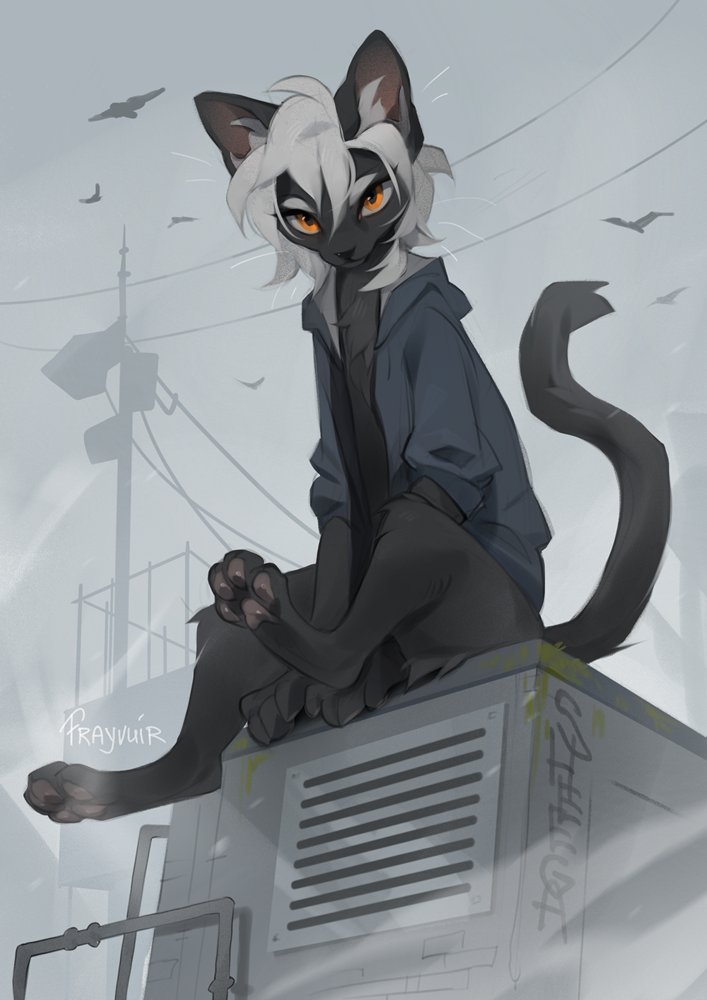 Frayvuir's tweet photo. https://t.co/695mZEB8JL