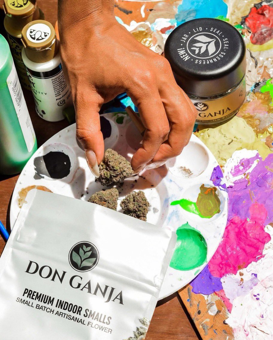 donganja710's tweet photo. Spending the morning getting some sunshine, popping the lid on some 🔥 and lifting these spirits with art in the park. Happy Friday! What’re you all getting into?!

#drugtwt #CannabisForFuture #Canapa 

#Legalizziamo #Italia #italiano https://t.co/2Clfnwq1Pf