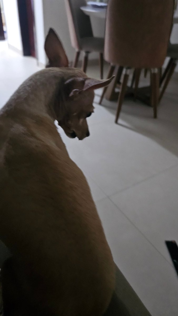 pasteldofelix's tweet photo. A cara do San depois que ele acabou de derrubar e quebrar o controle da tv https://t.co/3IjP5BtcbS
