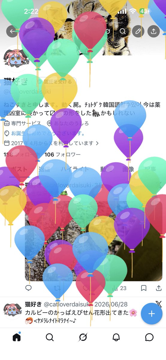 catloverdaisuki's tweet photo. 風船だらけ🎈 https://t.co/iQfw0mBcWv
