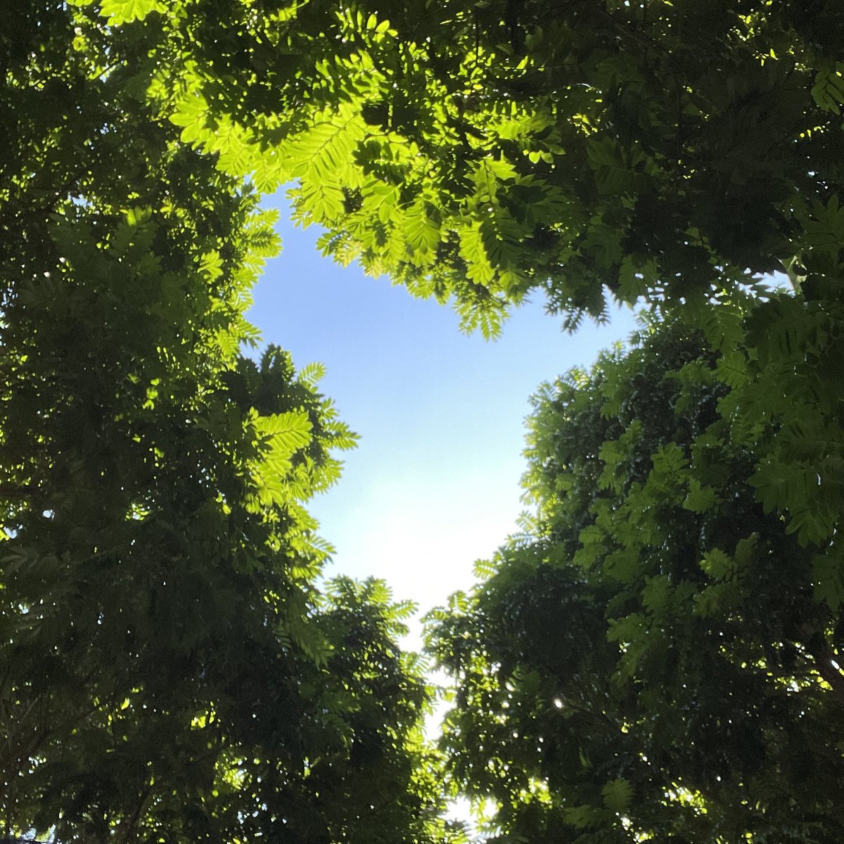 SuzukiMms's tweet photo. 小説の話をしている人たちが「自立した女性」を盾に専業主婦を見下すのが理解できない。中には自分自身も主婦の人もいるのに🙄

家族のため犠牲してる主婦だってすごく尊敬できる、女性の選択は全部尊重していいじゃん。 https://t.co/bxi5aNxxcu