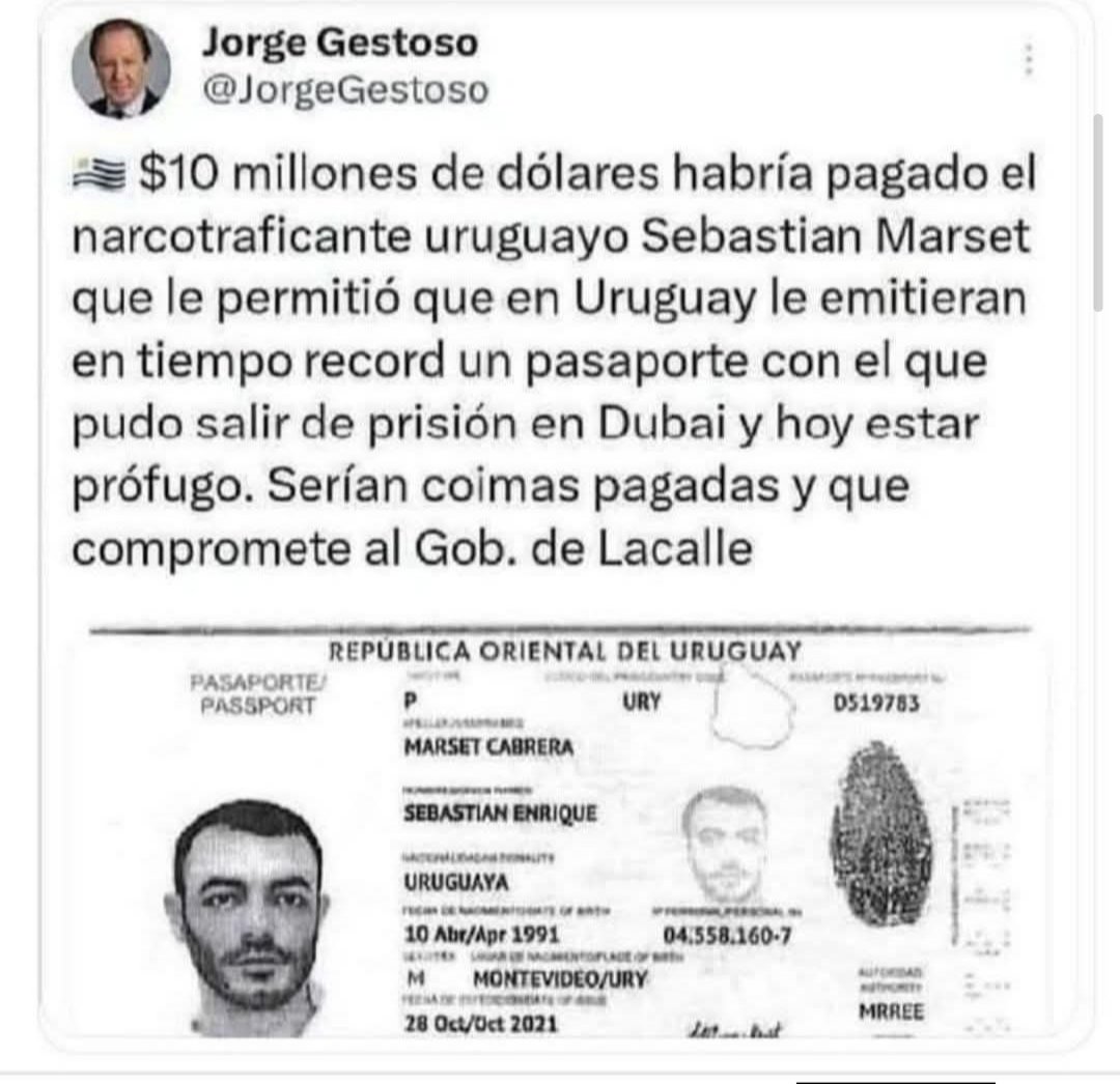 PabloC68066's tweet photo. @gbianchi2020 https://t.co/fwlNYmOQ1d
