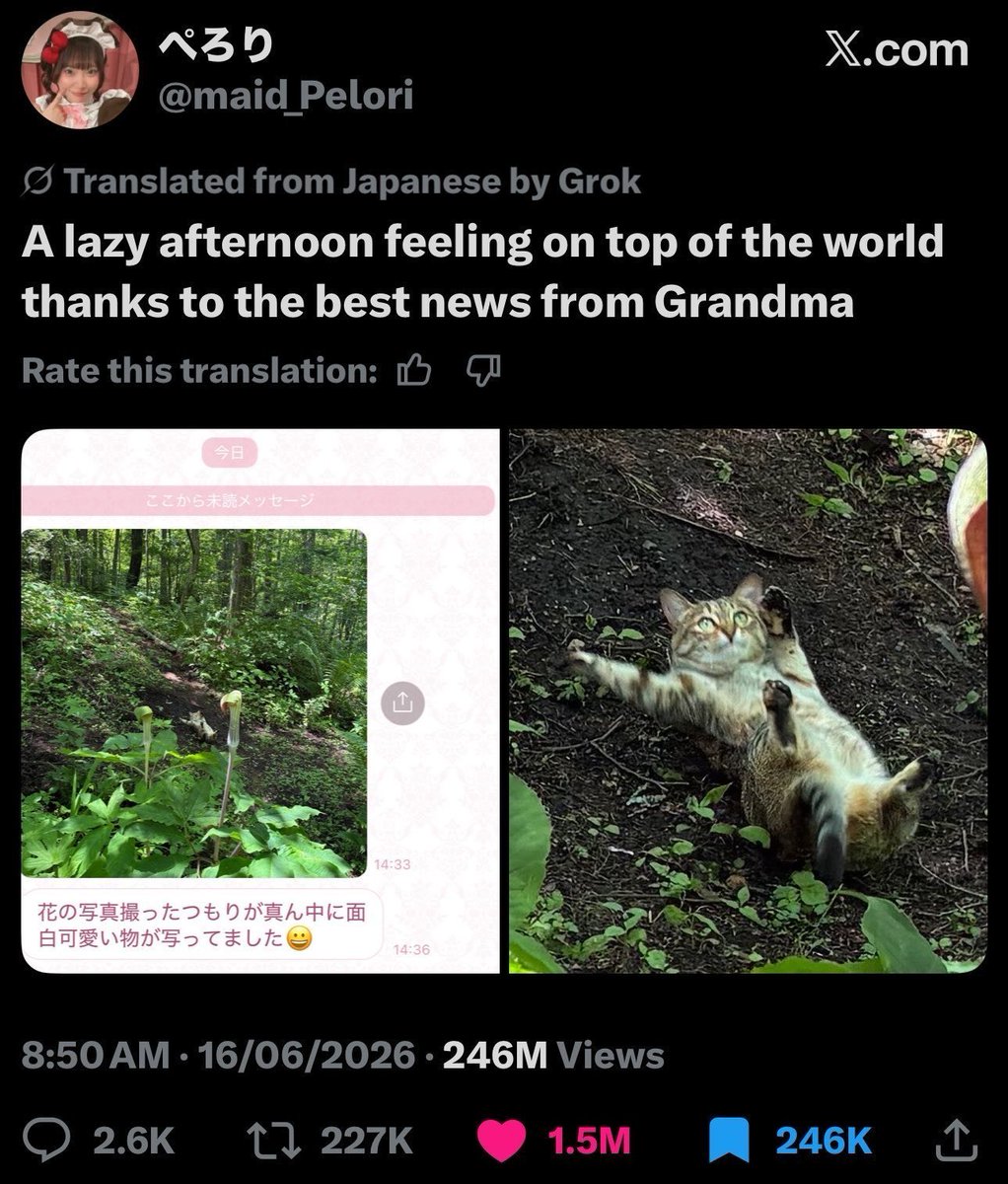 Goatchu69 tweet picture