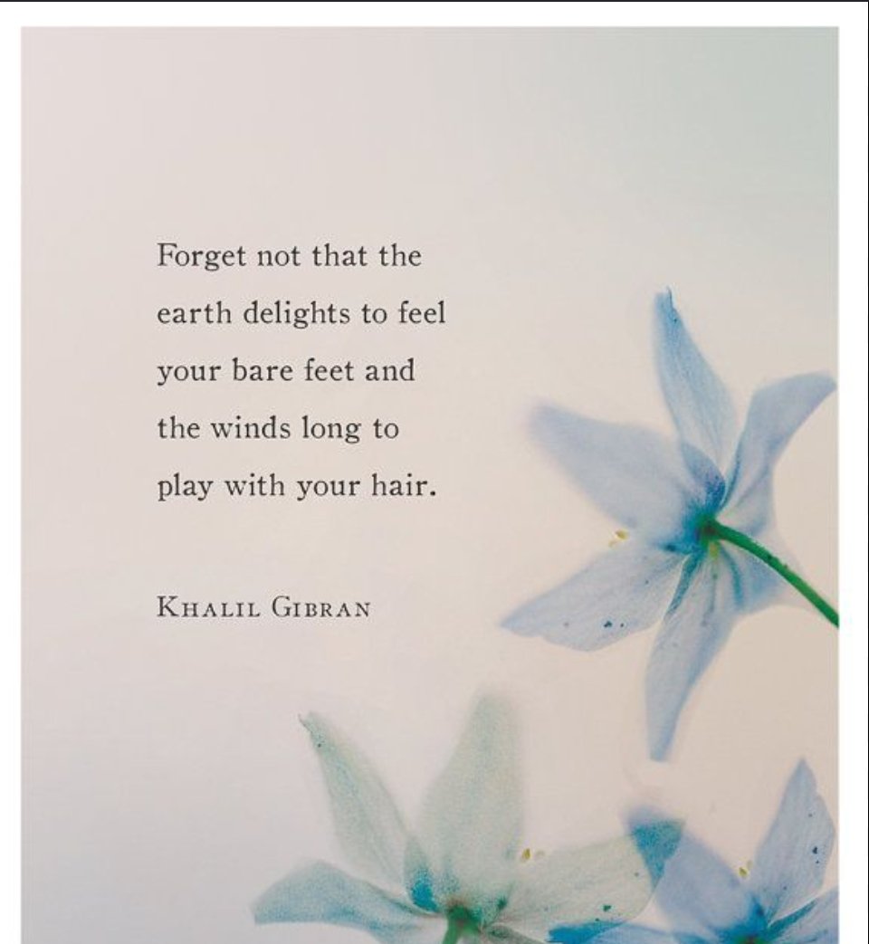 divinepulse55's tweet photo. #KhalilGibran https://t.co/hlwoqyi6Fq