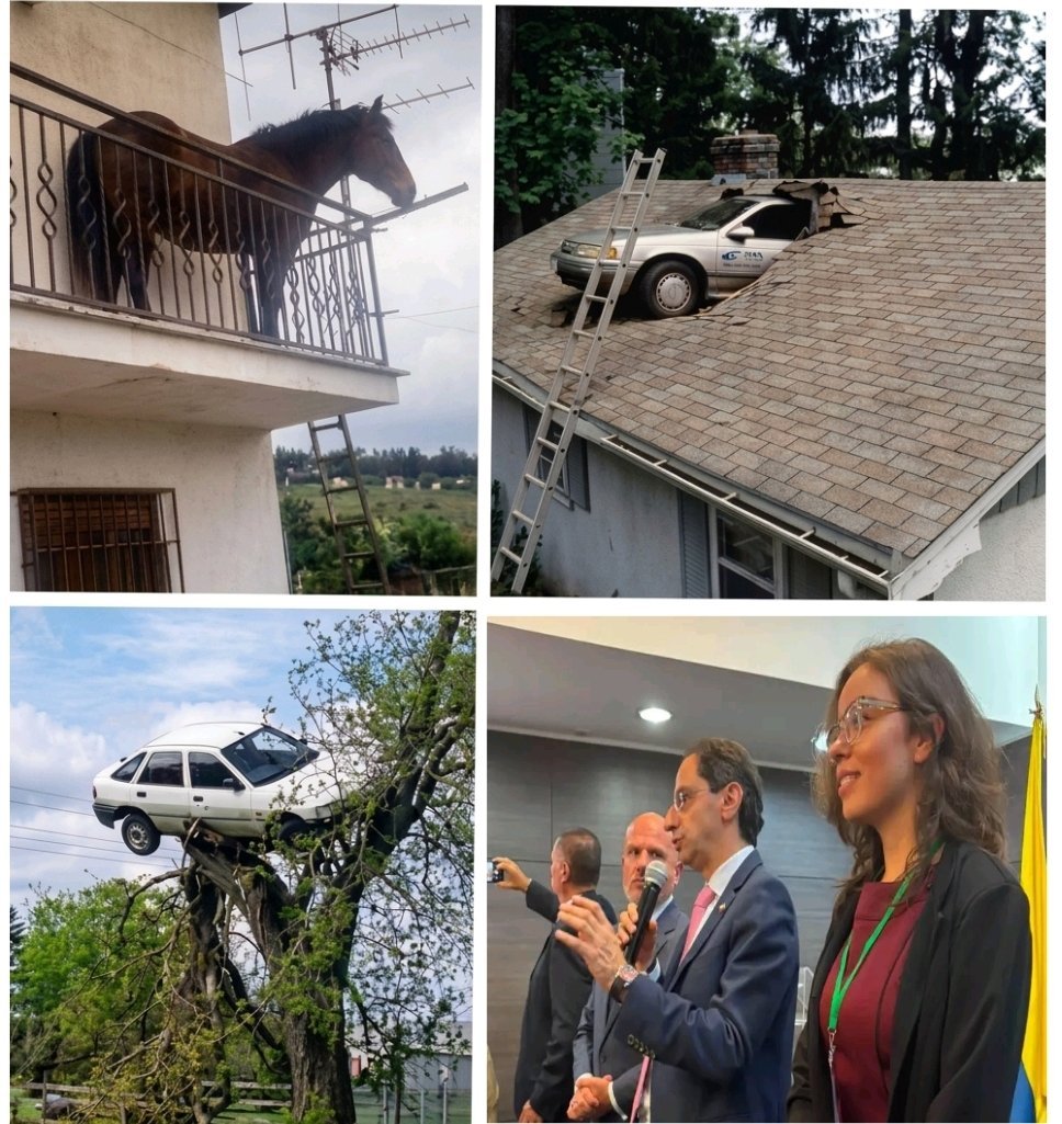emiliolagos1's tweet photo. ¿Cómo fue que llegaron ahí? https://t.co/FzHhfXfWOb