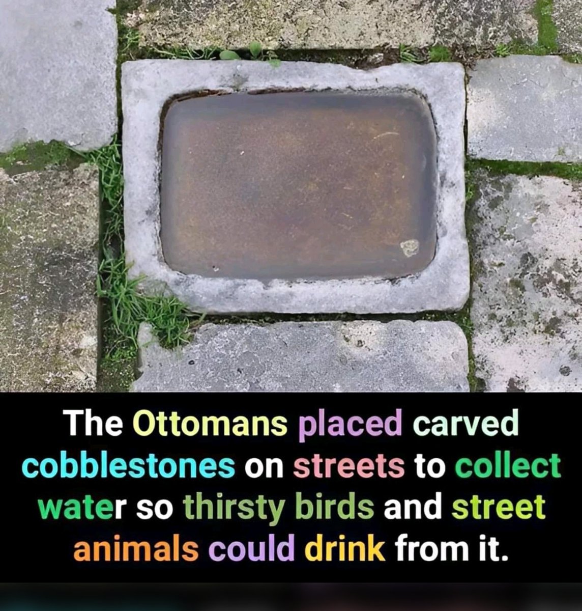 Animalww26's tweet photo. Little gestures like this matter.
We need more of this. https://t.co/Uch6BfCMSU