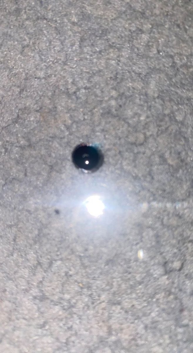 NLMBmeechy's tweet photo. I hope y'all are playing safe out there by literally just owning a test kit and atleast a manual for your own safety. We have to keep fighting for a free world lmao #drugtwt https://t.co/qO5Z7isFO2