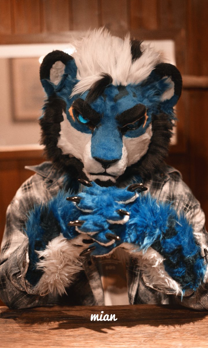 MIAN0822's tweet photo. 📷@XIONGYUE79
#furry #fursuit https://t.co/z6NIA53sij