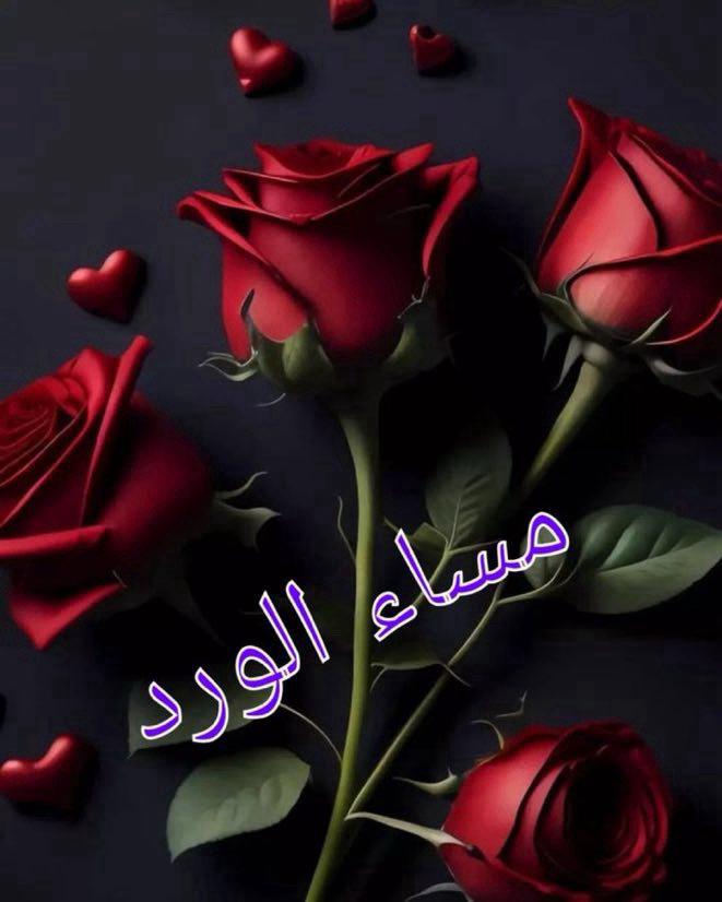 alknawi99's tweet photo. @LmyaDat57474 https://t.co/GuG07kSAy9