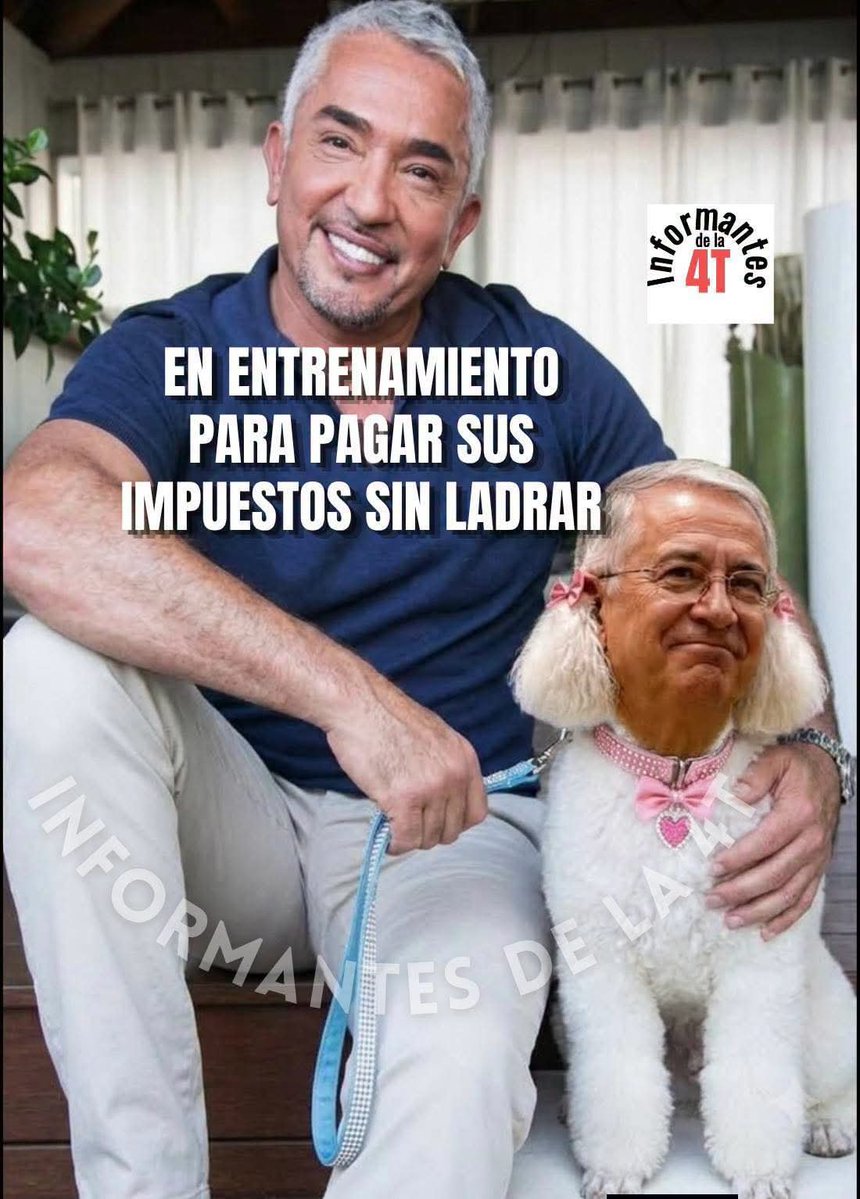 silcharde's tweet photo. Qués no caiga #LaPerritaDeTrump https://t.co/LO8GDRCLya