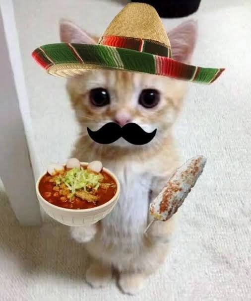 Zefrith_'s tweet photo. 1 MORE HOUR, ¡VIVA MEXICOOOOOOO!!! https://t.co/RcSf35JveO