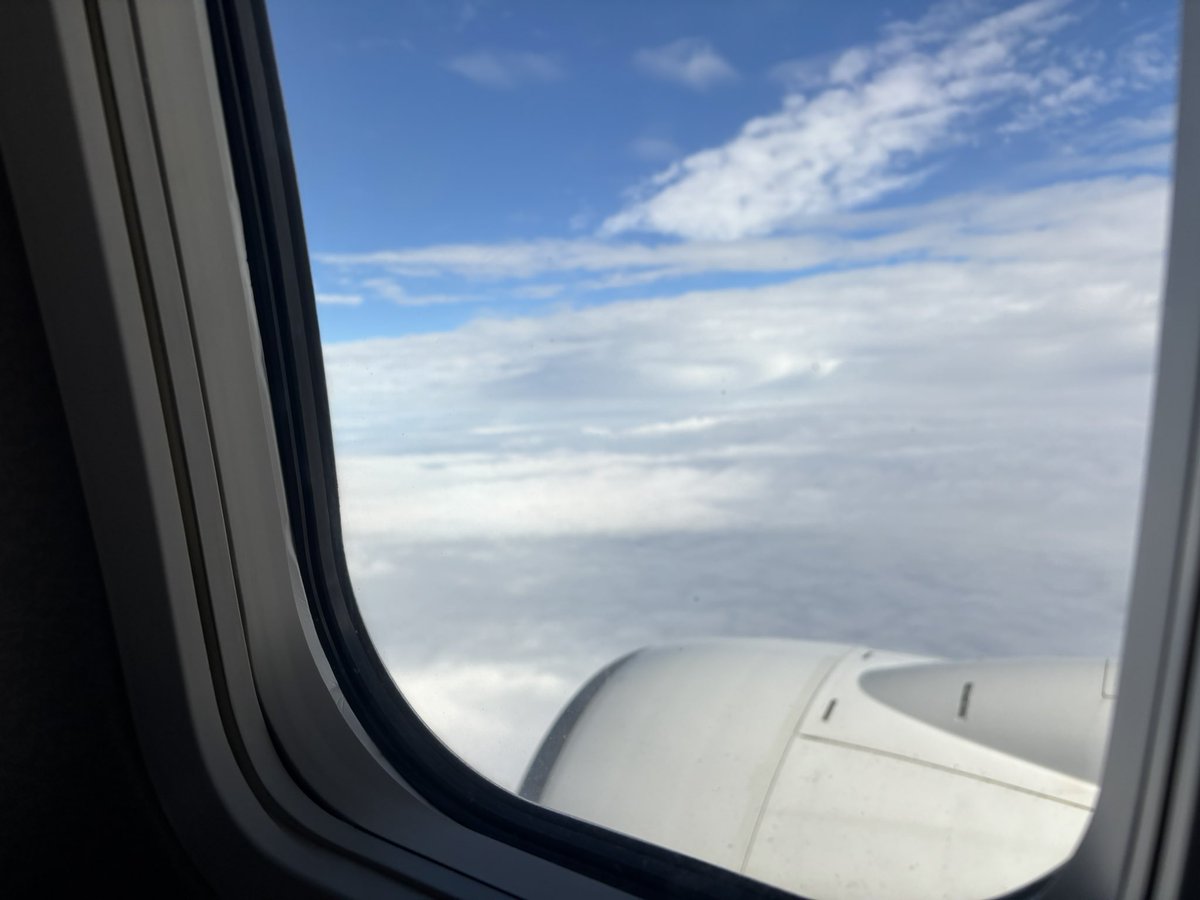kojiTV2020's tweet photo. 🐠🏝️🎣✈️ https://t.co/ZFFY27MME6