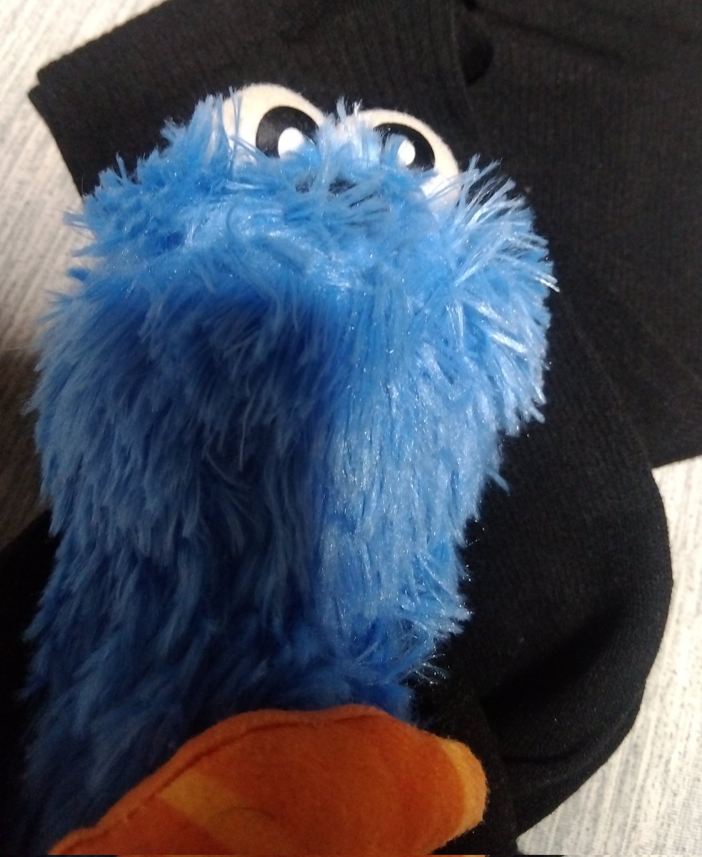 zonamosh's tweet photo. 着圧ソックスも買ったので
今日もパン工場のパート行くぞー！

背伸びせず、自分に出来ることを精一杯やるぞー！ https://t.co/VI8IiRTAti