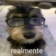 ganymoonz's tweet photo. Fiquei mal assisti o jogo do começo até o final e perdemo. https://t.co/XMUx8v1bT3