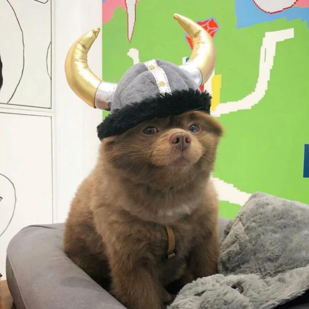 ImDei__'s tweet photo. @Rubiu5 Vamos Noruega! 🥹 https://t.co/mqztCDCxLn