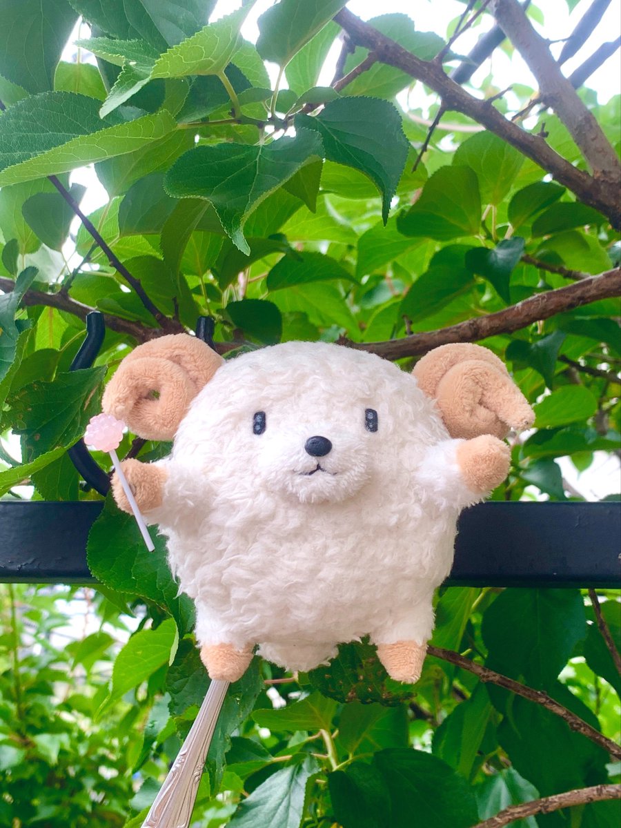 Linda_Solo_Jota's tweet photo. おは羊ございますぅーる！
今朝はくもり☁️過ごしやすそうな気候ですね๑
本日もがんばって活きましょうーる！！
🍬꒰ ๑' ᴥ '๑꒱ノ✨

#アモン羊 
#ぬい撮り #ぬいぐるみ好きさんと繋がりたい https://t.co/uySqk6vru7