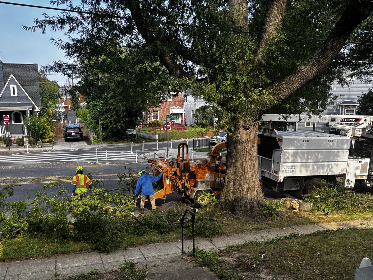 TheWardsofDC's tweet photo. Thank you @DDOTDC Urban Forestry for the quick removal of this tree limb. It fell around 10 am and has already been removed. That’s exceptional service. #DC #Ward4 https://t.co/U55toMPdC9
