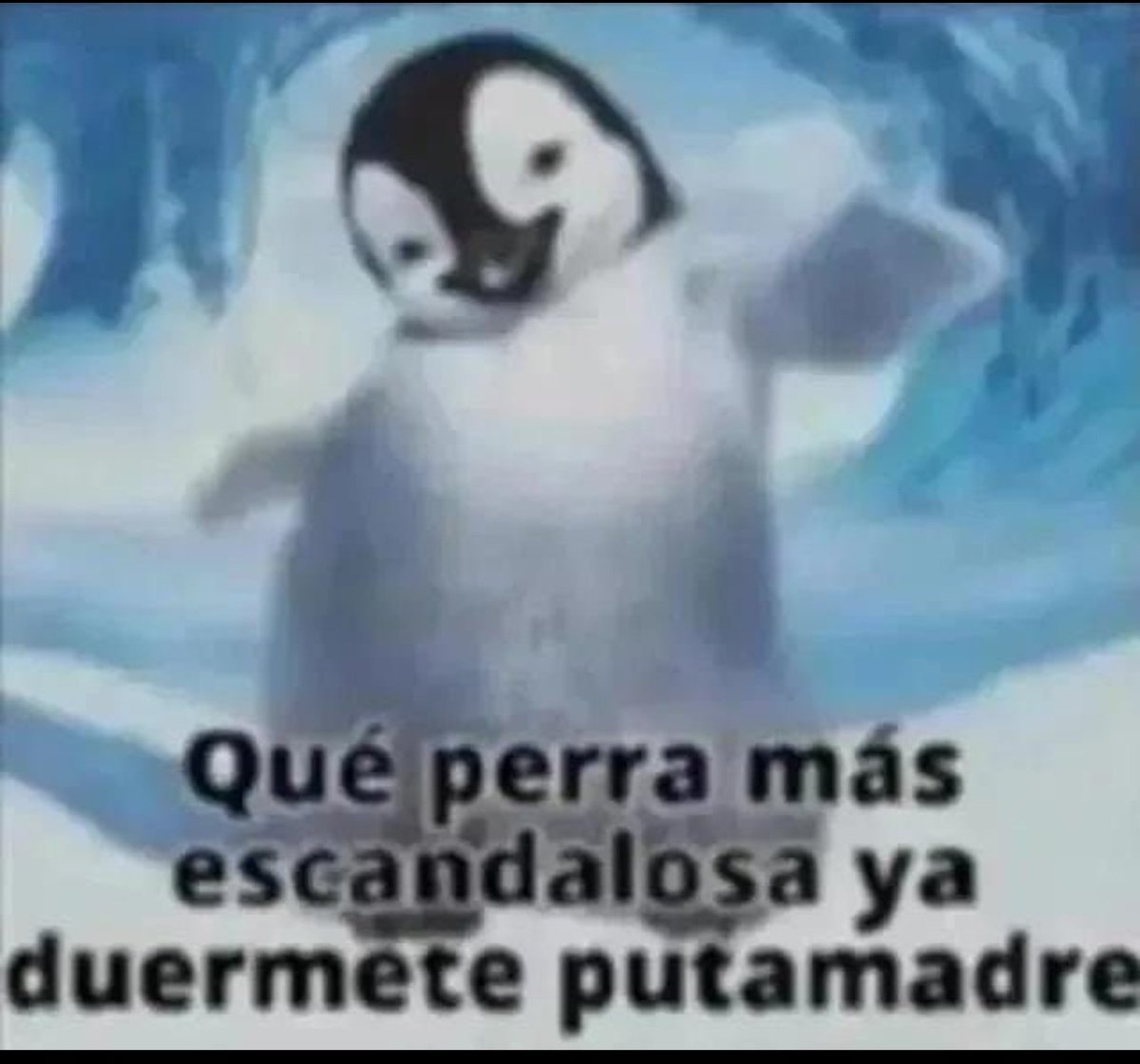 _FIN_00's tweet photo. @Ruggeri_Albert @porktendencia https://t.co/2AaSk0O2hs