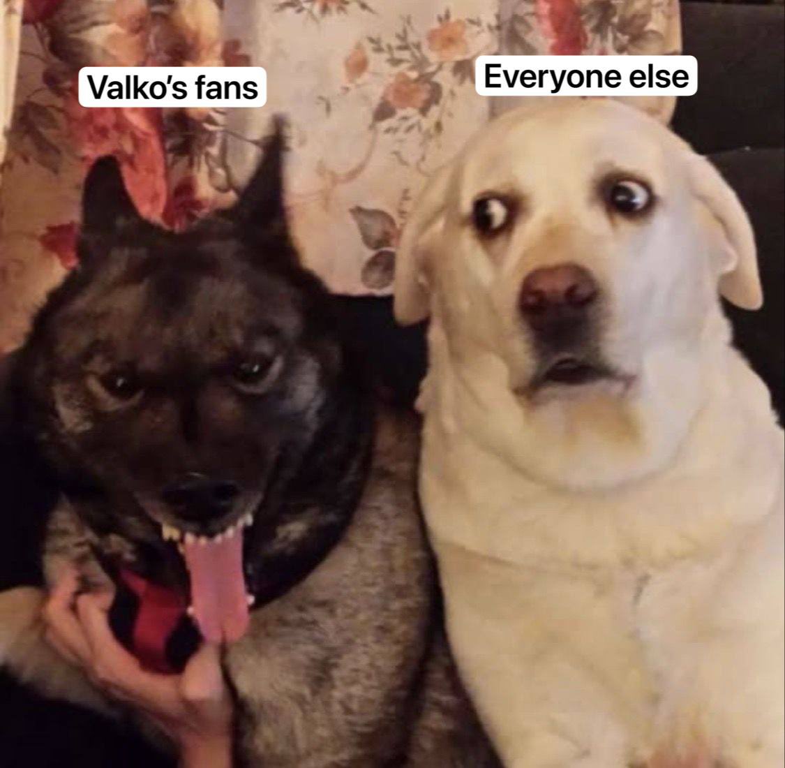 ⛓️✧*Ant。*♡ 🐺🌒#BRINGBACKVALKO tweet media