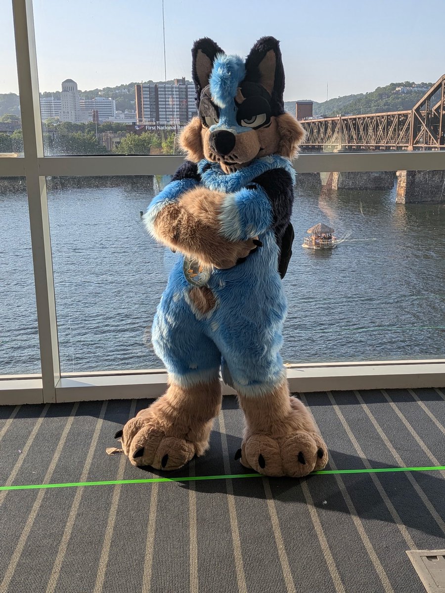 BonkHeeler's tweet photo. Ac was hella fun 

#furry #fursuit #fursona #heeler #anthrocon https://t.co/mrsfc2d53C