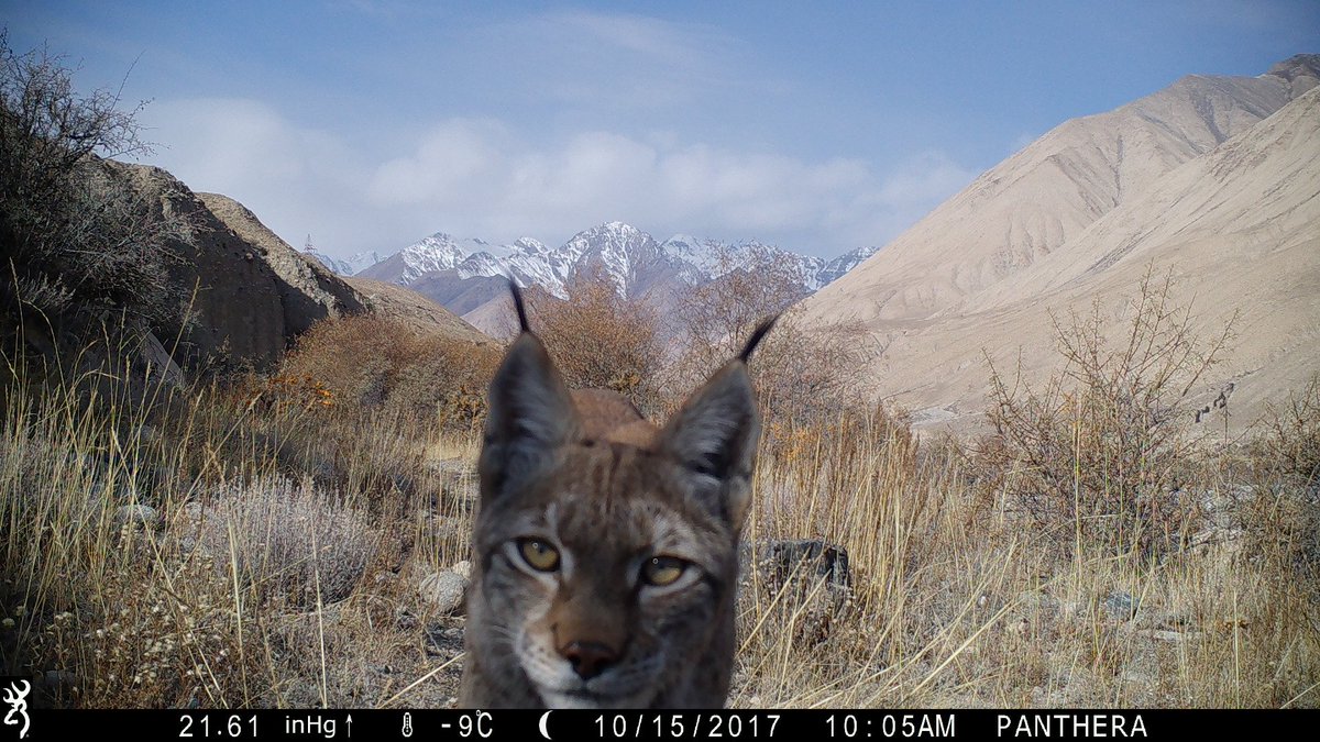Trail_Cams's tweet photo. https://t.co/Auz44NVqWV