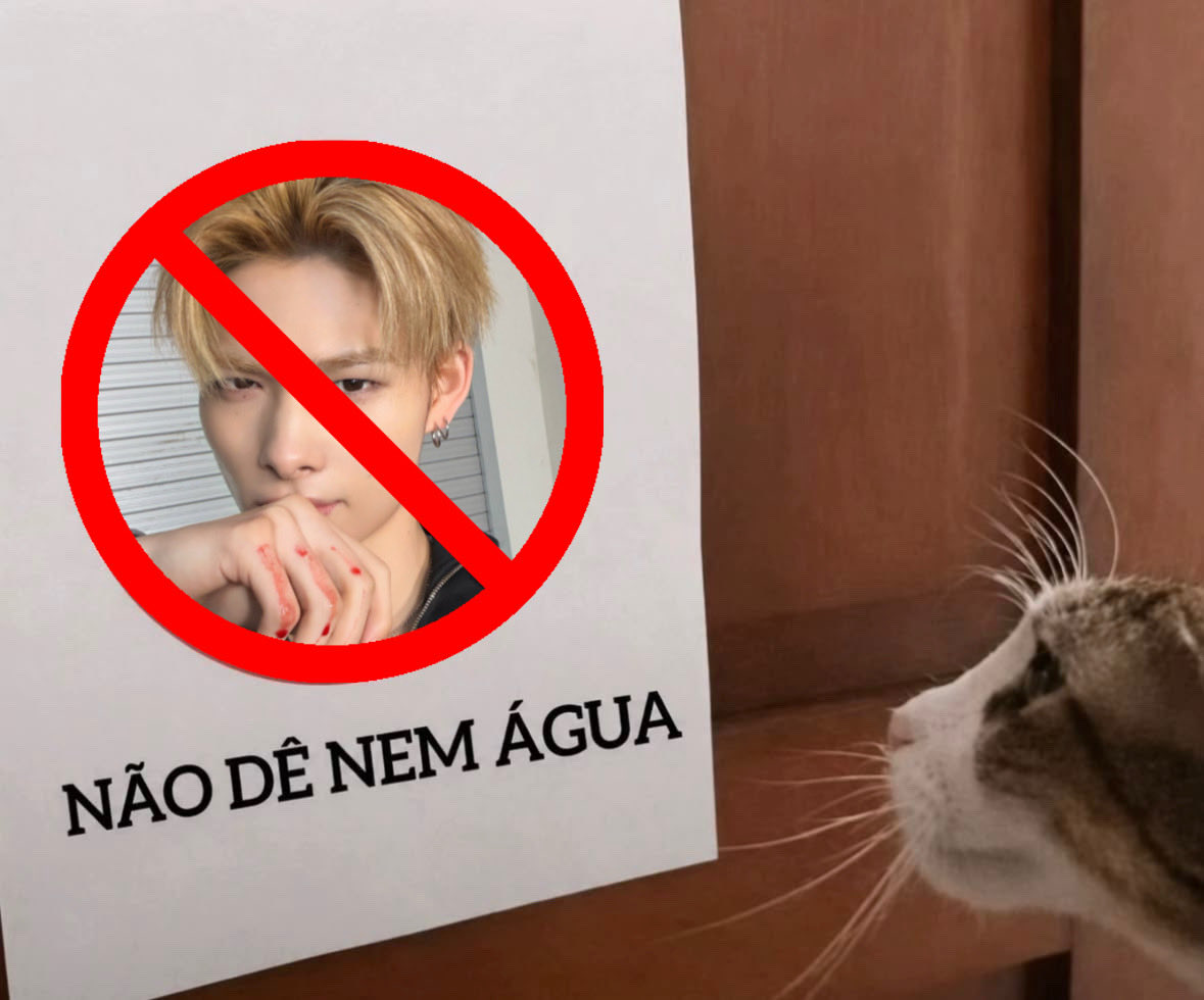 bbuwony's tweet photo. https://t.co/0r5lIar5av
