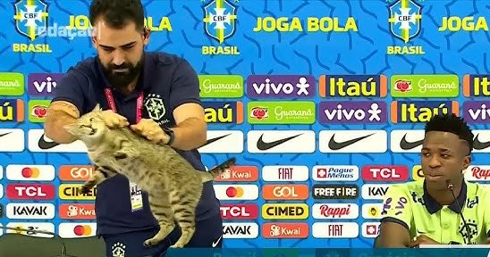 diegoalejocm's tweet photo. Brasil todavía no comprende la maldición que carga desde este momento. https://t.co/CUvkimzbrl