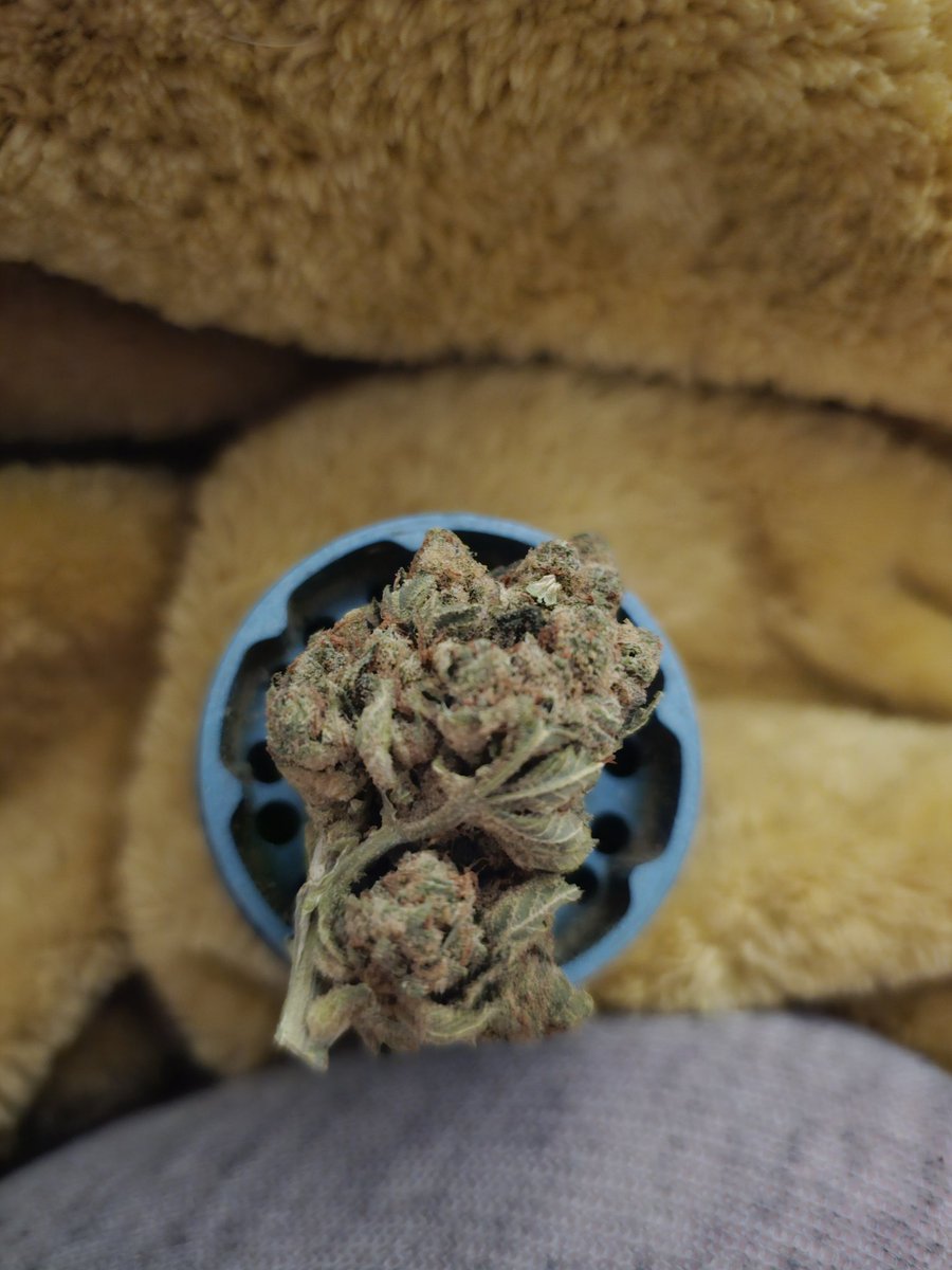 PorcelainStrike's tweet photo. See what happens after this smoke session on my OF or Fansly!

#stoner #weed #stonerchick #onlyfans #fansly #lingerie #thick #contentcreator #nsfwtwt https://t.co/npFlWRnFcO