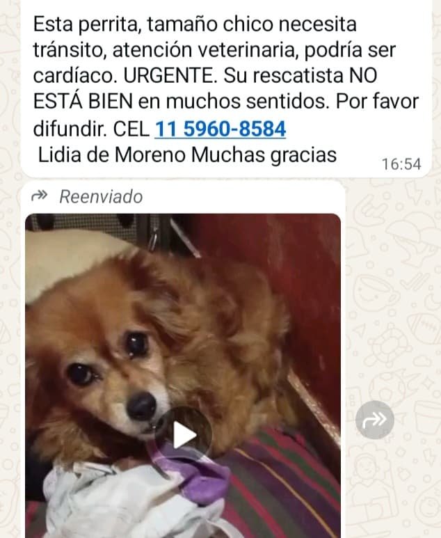 patripeyrou's tweet photo. Rt
Difundimos https://t.co/JxlSGkGCaK