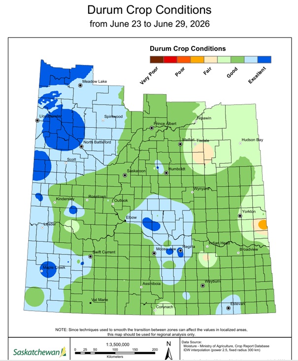 spiga_dorata's tweet photo. As of June 29, the condition of durum wheat in Saskatchewan rated good + excellent is at 93% provincially *
#durumwheat #bledur #granoduro #Canada ๐จ๐ฆ ๐พ https://t.co/Oy0m7EokyG