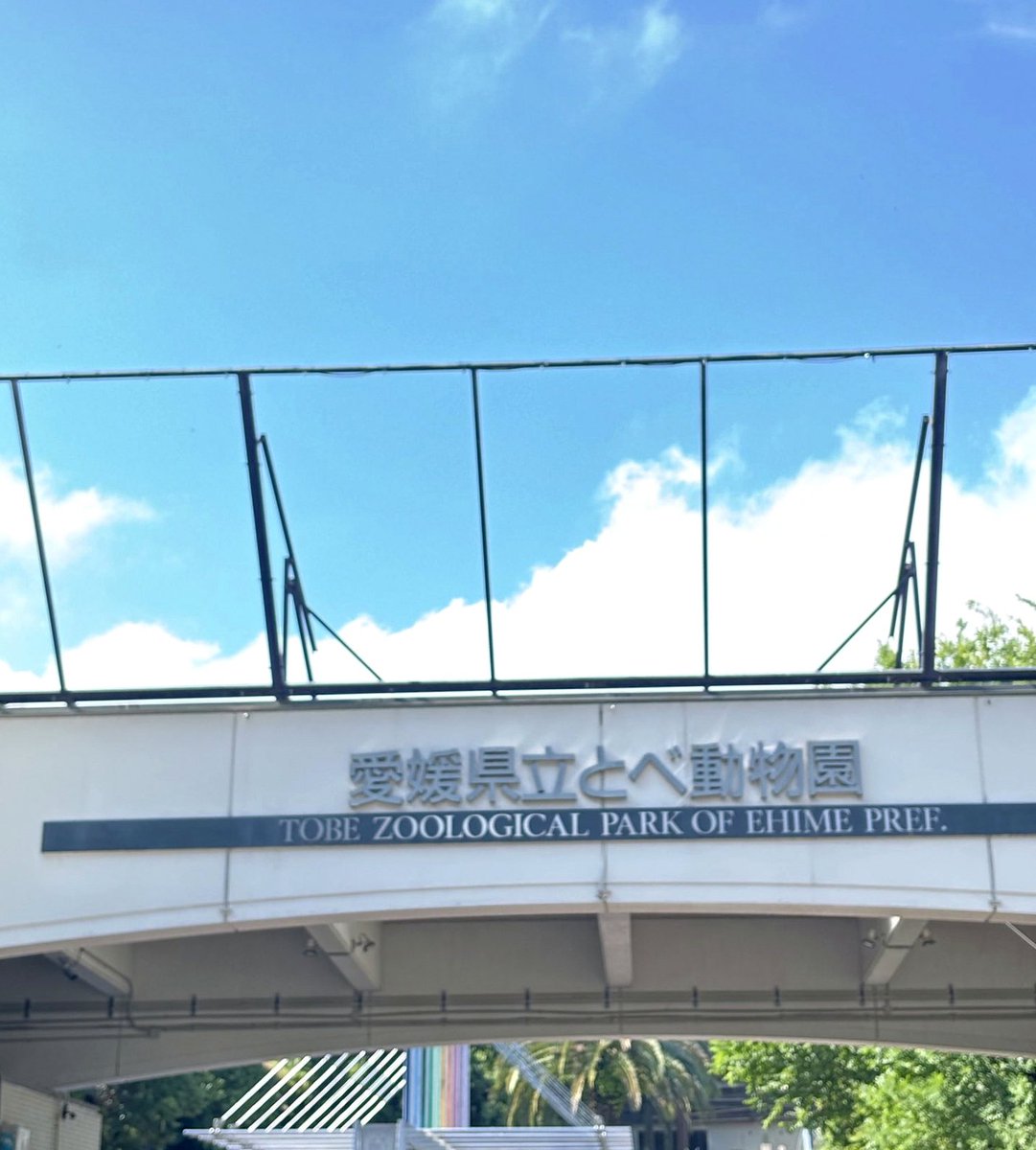 akarsuhalide's tweet photo. 4月に1年分の休み決めるときから関西帰る予定してて今週の木金連休にしてたのに、木曜日仕事の研修入ったから泣く泣く月曜日に変更して、まあ4連休だしといいか思ってたそれなのにお子さんの体調不良で1人休むかもだから金曜日の休みも変えてくれませんかって聞かれてめちゃめちゃ嫌な気持ち〜〜！！！ https://t.co/IPhszLhDNO