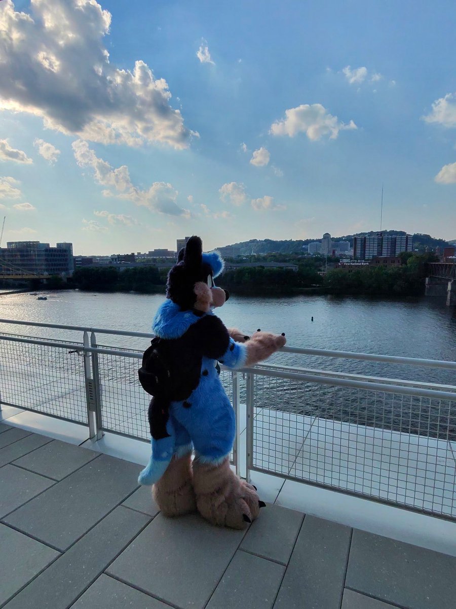 BonkHeeler's tweet photo. picture drop

#furry #fursona #anthrocon #heeler #fursuit https://t.co/dIZdcqGt3L
