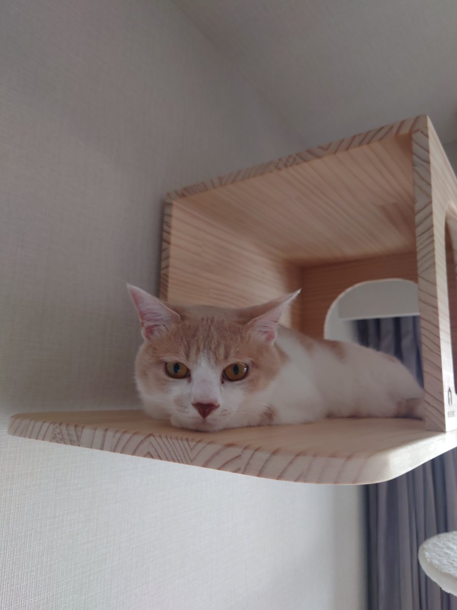 今週も頑張ろ(*òωó)ﾉ おー #ケツ曜日