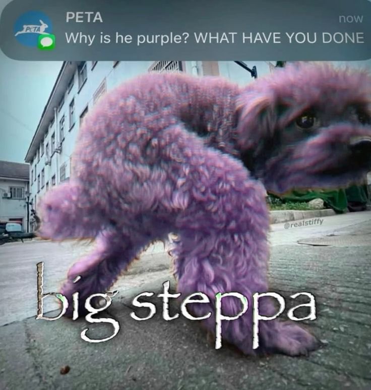 Sbubby13's tweet photo. @PunchingCat https://t.co/NXkZGhlGmk