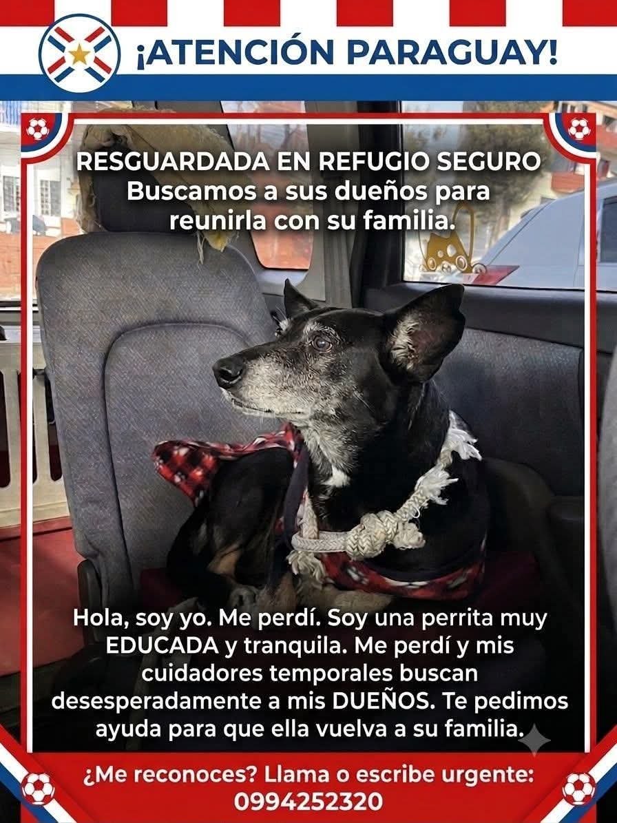 ruthdemoab's tweet photo. https://t.co/nHYlrb6VNs