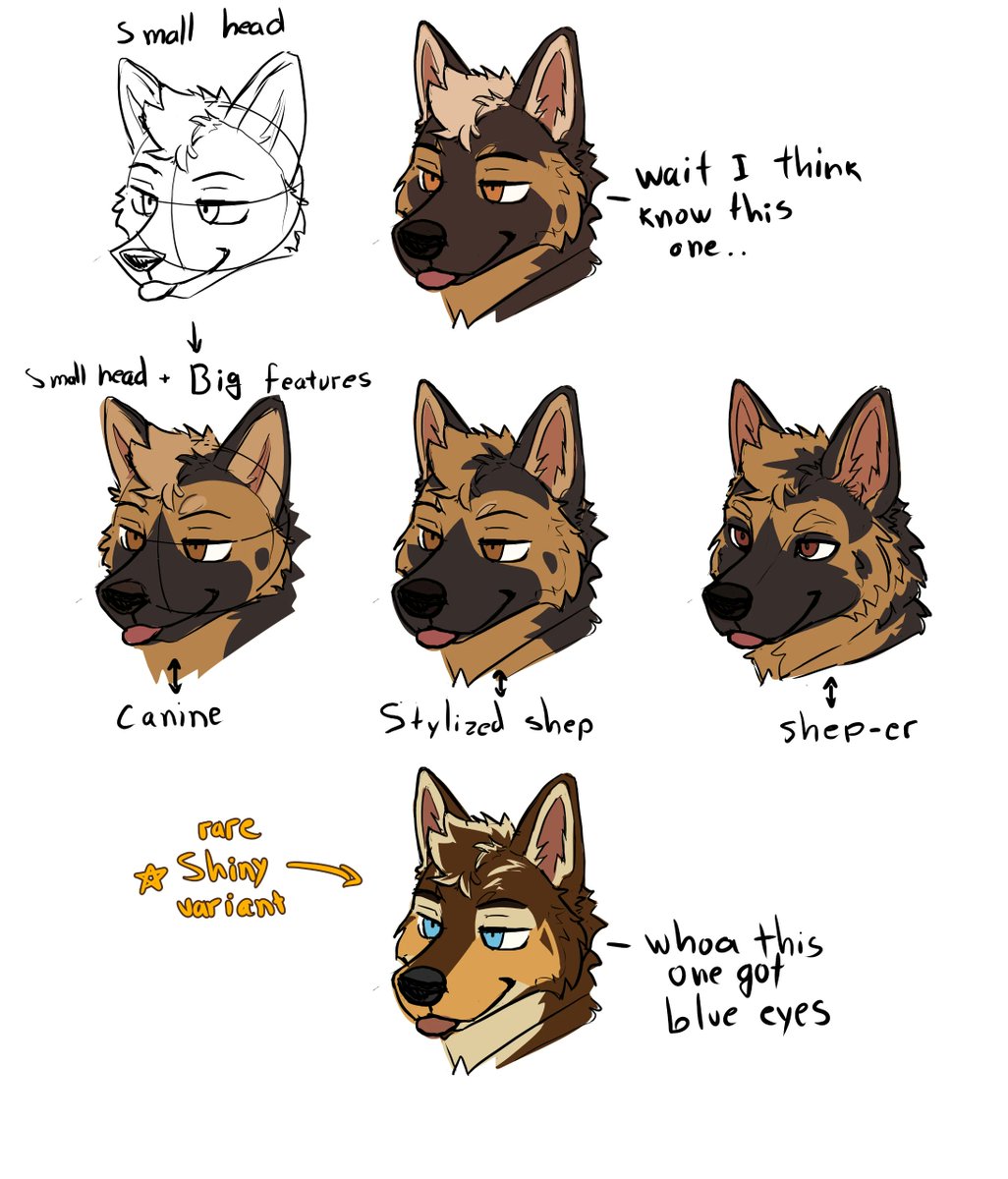 lathirozdog's tweet photo. Sheps https://t.co/Hh1twb8scK