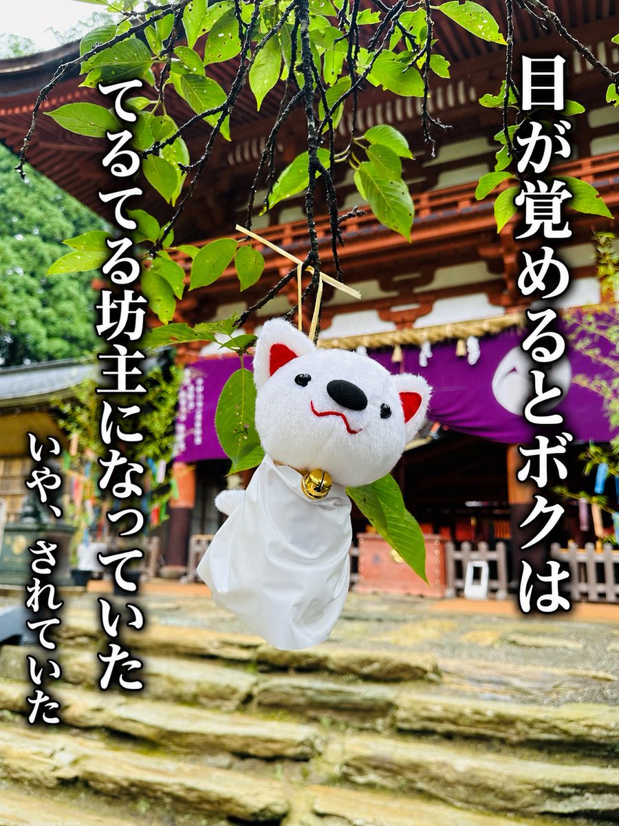 niutsuhimejinja's tweet photo. 『明日は七夕』

明日は七夕。7月7日は当社が世界遺産に登録された日でもあることから、午前9時より「七夕祭並世界遺産登録記念祭」を斎行いたします。

明日の天野は曇時々雨の予報。

織姫と彦星は会えるでしょうか。

てるてる坊主てる坊主　あした天気にしておくれ https://t.co/ZcDcC7cCj5