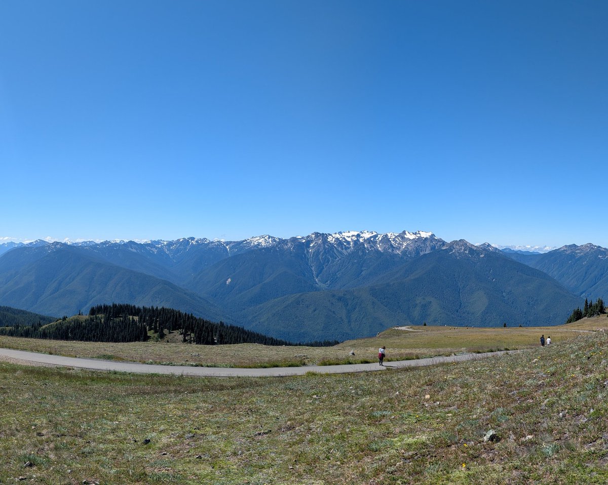 shotyas's tweet photo. Olympics National Park
Hurricane Ridge https://t.co/zmb7G5Eqhb
