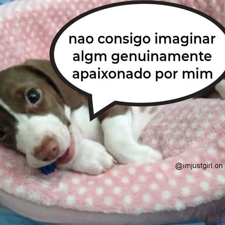lunn ✶ tweet media
