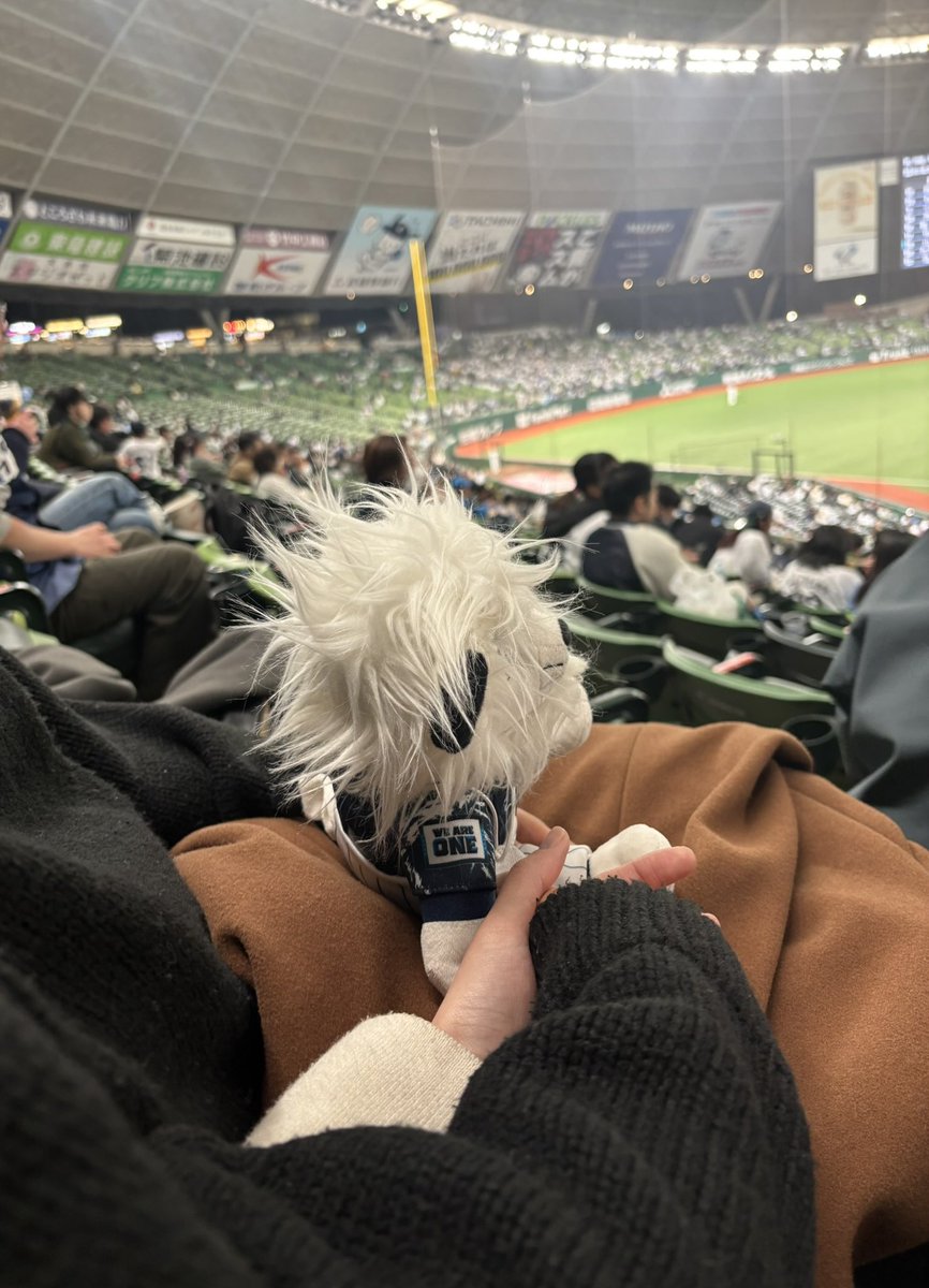 nnya03_'s tweet photo. 彼をライオンズの沼に誘うしスポナビ見てその日の勝敗と軽い実況するのは紛れもなくこの私です（彼と観戦して未だ無敗） https://t.co/1aoFiO5swH
